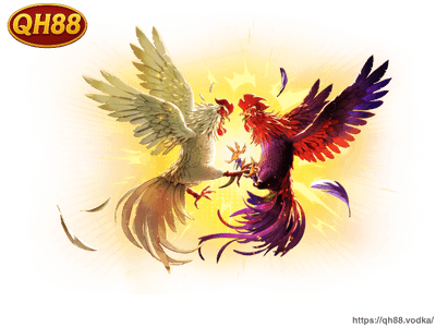 Trang chủ Phat song da ga truc tuyen QH88