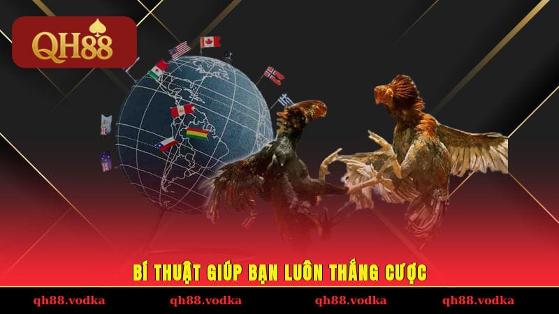 Bí thuật giúp bạn luôn thắng cược