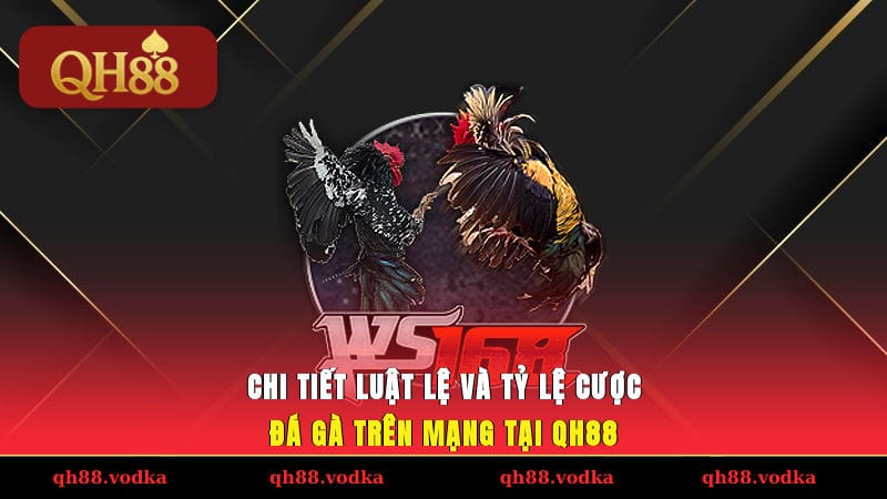Chi tiết luật lệ và tỷ lệ cược đá gà trên mạng tại QH88