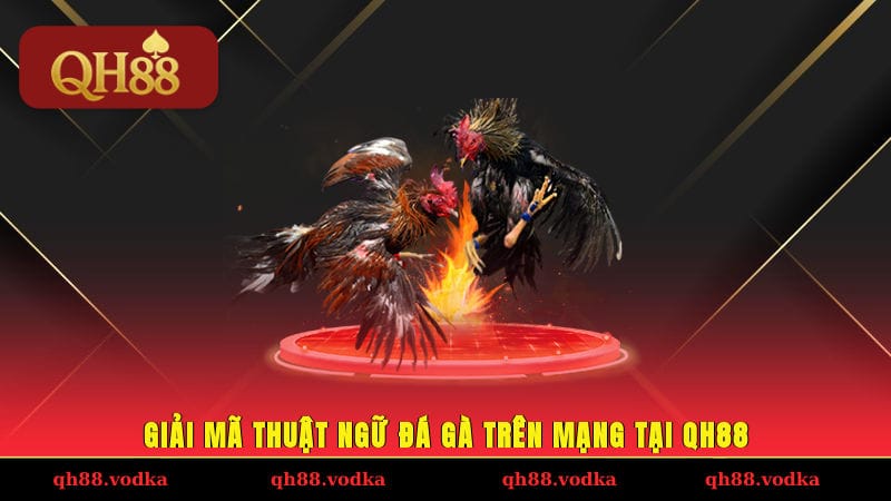 Giải mã thuật ngữ đá gà trên mạng tại QH88