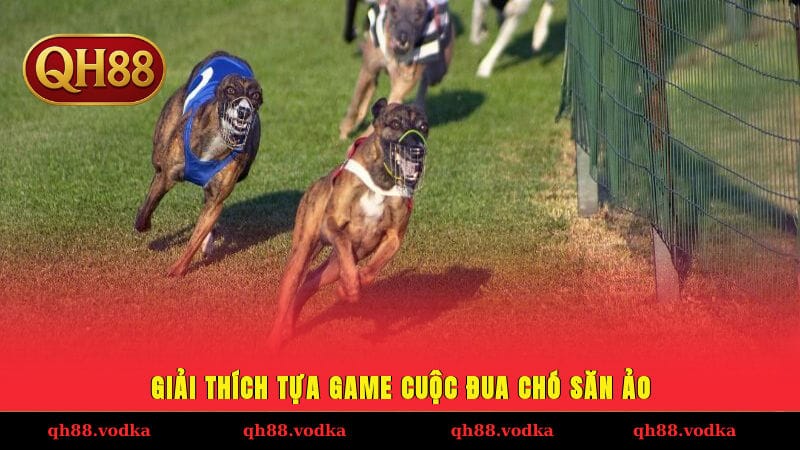 Giải thích tựa game cuộc đua chó săn ảo