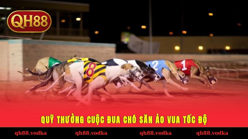 Quỹ thưởng cuộc đua chó săn ảo vua tốc độ