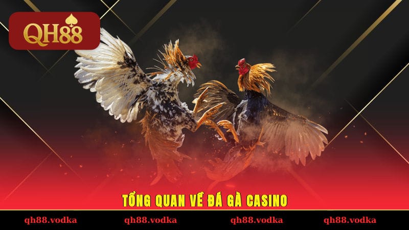 Tổng quan về đá gà casino